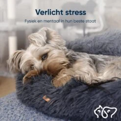 RK® Donut Hondenmand - Zacht Pluche Hondenmand - Hondenbed - 70cm - Hondenkussen - Kattenmand - Grijs Grey 6 RK® Donut Hondenmand - Zacht Pluche Hondenmand - Hondenbed - 70cm - Hondenkussen - Kattenmand - Grijs Grey -Huisdier Benodigdheden 1200x1200 734