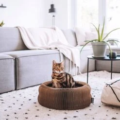 District 70 MAZE 3-in-1 Opvouwbare Kartonnen Kattenmand - Inclusief Catnip Balletje - Voor Slapen, Spelen En Krabben! -Huisdier Benodigdheden 1200x1200 742