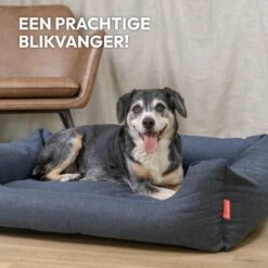 Snoozle Hondenmand - Zacht En Luxe Hondenkussen - Hondenbed - Wasbaar - Hondenmanden - 100 X 70cm -Huisdier Benodigdheden 1200x1200 767