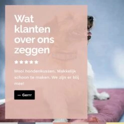 Rexproduct Hondenkussen - Hondenmand - Hondenbed Met Rits En Wasbaar - Manden & Kussens 90 X 110 CM - 0 Tot 80 Kg - SoftPet Groen 22 Rexproduct Hondenkussen - Hondenmand - Hondenbed Met Rits En Wasbaar - Manden & Kussens 90 X 110 CM - 0 Tot 80 Kg - SoftPet Groen -Huisdier Benodigdheden 1200x1200 835