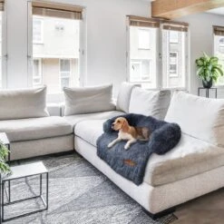 Origineel Hondendeken Voor Bank– Hondenkleed Fluffy – Pluche Hondenbed - Hondenmand Premium - Volledig Afritsbaar 17 Origineel Hondendeken Voor Bank– Hondenkleed Fluffy – Pluche Hondenbed - Hondenmand Premium - Volledig Afritsbaar -Huisdier Benodigdheden 1200x1200 838