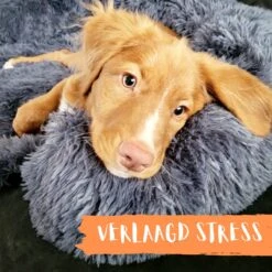 Origineel Hondendeken Voor Bank– Hondenkleed Fluffy – Pluche Hondenbed - Hondenmand Premium - Volledig Afritsbaar 26 Origineel Hondendeken Voor Bank– Hondenkleed Fluffy – Pluche Hondenbed - Hondenmand Premium - Volledig Afritsbaar -Huisdier Benodigdheden 1200x1200 846