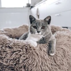 District 70 FUZZ - Hondenmand Comfortabel En Zacht Pluche - Zand, Oudroze, Donkergrijs En Lichtgrijs In S/M/L/XL - Maat: Large, Kleur: Zand -Huisdier Benodigdheden 1200x1200 852