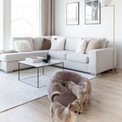 District 70 FUZZ - Hondenmand Comfortabel En Zacht Pluche - Zand, Oudroze, Donkergrijs En Lichtgrijs In S/M/L/XL - Maat: Large, Kleur: Zand -Huisdier Benodigdheden 1200x1200 853