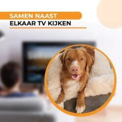 Origineel Hondendeken Voor Bank M – Hondenkleed Fluffy – Pluche Hondenbed - Hondenmand Premium - Volledig Afritsbaar - Beige -Huisdier Benodigdheden 1200x1200 874