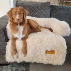 Origineel Hondendeken Voor Bank M – Hondenkleed Fluffy – Pluche Hondenbed - Hondenmand Premium - Volledig Afritsbaar - Beige -Huisdier Benodigdheden 1200x1200 877