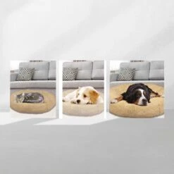 Peaceful Pooch S - Pluizig Hondenbed - 58cm Diameter - Opvouwbaar - In Verschillende Maten. Kattenbed - Wasbaar - Uitneembare Vulling - Ontspant Gewrichten En Spieren - Anti-slip Noppenbodem -Huisdier Benodigdheden 1200x1200 879
