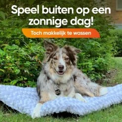 Happysnoots Hondenkussen 70 X 50cm - Hondenbed - Donut Dog Bed - Fluffy - Grijs - Wasbaar 18 Happysnoots Hondenkussen 70 X 50cm - Hondenbed - Donut Dog Bed - Fluffy - Grijs - Wasbaar -Huisdier Benodigdheden 1200x1200 917
