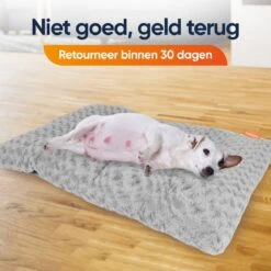 Happysnoots Hondenkussen 70 X 50cm - Hondenbed - Donut Dog Bed - Fluffy - Grijs - Wasbaar 22 Happysnoots Hondenkussen 70 X 50cm - Hondenbed - Donut Dog Bed - Fluffy - Grijs - Wasbaar -Huisdier Benodigdheden 1200x1200 921