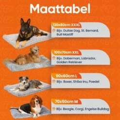 Happysnoots Hondenkussen 70 X 50cm - Hondenbed - Donut Dog Bed - Fluffy - Grijs - Wasbaar 29 Happysnoots Hondenkussen 70 X 50cm - Hondenbed - Donut Dog Bed - Fluffy - Grijs - Wasbaar -Huisdier Benodigdheden 1200x1200 928