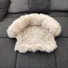 Kussen Voor Kat Of Kleine Hond | Fluffy Dierenkussen Van Pluche | Kat | Bank | Mand | Kattenmand | Kattendeken & Bankbeschermer Max. 15 Kg | Beige | Maat XS -Huisdier Benodigdheden 1200x1200 931