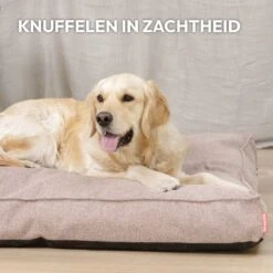 Snoozle Orthopedische Hondenmand - Zacht En Luxe Hondenkussen - Hondenbed - Wasbaar - Hondenmanden - 80 X 55 Cm - Desert Pink -Huisdier Benodigdheden 1200x1200 936