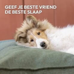 Snoozle Orthopedische Hondenmand - Zacht En Luxe Hondenkussen - Hondenbed - Wasbaar - Hondenmanden - 80 X 55 Cm - Desert Pink -Huisdier Benodigdheden 1200x1200 939