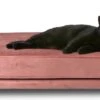 Maxxpro Katten- En Hondenbank - Roze - Verhoogd Met Houten Poten - Fluweel Materiaal - 90 X 44 X 34 CM - Huisdieren Tot 80 KG 2 Maxxpro Katten- En Hondenbank - Roze - Verhoogd Met Houten Poten - Fluweel Materiaal - 90 X 44 X 34 CM - Huisdieren Tot 80 KG -Huisdier Benodigdheden 1200x585 1