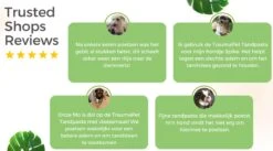 TraumaPet Tandpasta Met Colloïdaal Zilver Voor Dieren | Met Vleessmaak | Bij Stinkende Adem | Tandplak | Geïrriteerd Tandvlees | Tandsteen -Huisdier Benodigdheden 1200x666 1