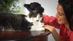 Vacht Verzorgingsborstel Voor Huisdieren - Blauw - LimitedDeals - Voor Honden Katten Konijnen Paarden - Tevens Massage Handschoen Voor Dieren! - Goed Voor De Verzorging Van De Vacht -Huisdier Benodigdheden 1200x674