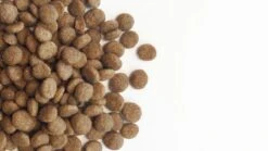 Carocroc Original 23/12 15 KG -Huisdier Benodigdheden 1200x675 1