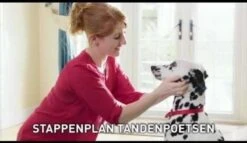 Beaphar Tandpasta - 100 Gr -Huisdier Benodigdheden 1200x697 3