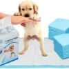 Mr. Poop Toodeloo -Puppy Pads - Training Pads - Maat S: 45 X 33cm - 30 Stuks -Huisdier Benodigdheden 1200x717