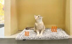 Merkloos Zelfverwarmende Dierendeken Zonder Stroom Thermo Deken Hond Kat Inclusief Adreslabel 70 X 47 Cm -Huisdier Benodigdheden 1200x730 3