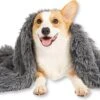 Fluffy Blanket - Pluche Hondendeken - 120 X 100 CM - Grijs - Voor De Auto Of Bank - Fleece 1 Fluffy Blanket - Pluche Hondendeken - 120 X 100 CM - Grijs - Voor De Auto Of Bank - Fleece -Huisdier Benodigdheden 1200x749 3