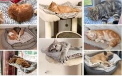 Merkloos Zelfverwarmende Dierendeken Zonder Stroom Thermo Deken Hond Kat Inclusief Adreslabel 70 X 47 Cm -Huisdier Benodigdheden 1200x751 3