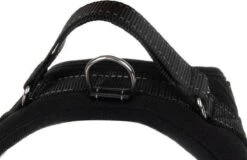 PetsPro Hondentuigje - Maat S - Anti Trek Honden Harnas - Honden Tuig - Tot 22 Kg - Nek Omvang: 37-45 Cm Borst Omvang: 48-55 Cm 13 PetsPro Hondentuigje - Maat S - Anti Trek Honden Harnas - Honden Tuig - Tot 22 Kg - Nek Omvang: 37-45 Cm Borst Omvang: 48-55 Cm -Huisdier Benodigdheden 1200x776 3