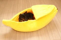 N/A Kattenhuis Banaan L - Hondenhuis Banaan L - 65x25x18 Cm - Kattenmand - Hondenmand - Dierenmand - Cadeau Kat 10 N/A Kattenhuis Banaan L - Hondenhuis Banaan L - 65x25x18 Cm - Kattenmand - Hondenmand - Dierenmand - Cadeau Kat -Huisdier Benodigdheden 1200x799 14