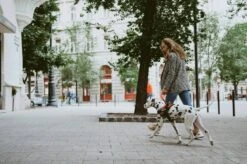 Julius K9 Julius-K9 IDC®Powertuig, M - Maat 0, Camouflage -Huisdier Benodigdheden 1200x799 5