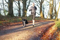 Trixie Heupriem Met Jogginglijn Zwart - RIEM 60-120 CM LIJN 100-135 CM -Huisdier Benodigdheden 1200x800 18