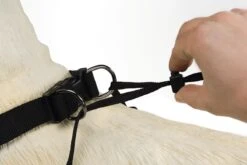 Beeztees Gentle Walker - Hondentuig - Zwart - M -Huisdier Benodigdheden 1200x800 21