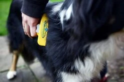 Furminator® Hond Langhaar - Vermindert Haaruitval Tot 90% - Hondenborstel - L -Huisdier Benodigdheden 1200x800