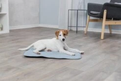 Trixie Junior Ligmat Fresh Lichtblauw - 60X50 CM -Huisdier Benodigdheden 1200x800 44