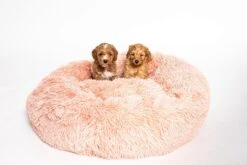 Studio Proud - Donut Mand - Honden En Katten Slaapbed - 50 Cm Roze - Pluche Hondenmand - Verkrijgbaar In Verschillende Maten En Kleuren 13 Studio Proud - Donut Mand - Honden En Katten Slaapbed - 50 Cm Roze - Pluche Hondenmand - Verkrijgbaar In Verschillende Maten En Kleuren -Huisdier Benodigdheden 1200x803 1