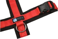 Annyx Hondentuig Harnas Zwart Rood - Y Model - Maat S Is Geschikt Voor Borstomvang 52-64cm. 12 Annyx Hondentuig Harnas Zwart Rood - Y Model - Maat S Is Geschikt Voor Borstomvang 52-64cm. -Huisdier Benodigdheden 1200x808
