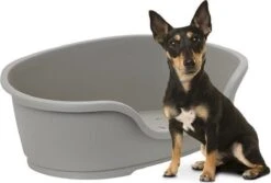 Flamingo - Hondenmand Domus - Grijs - M - 70 X 47 X 22 Cm -Huisdier Benodigdheden 1200x813