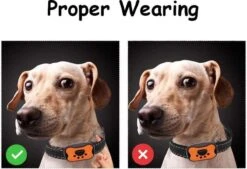 Merkloos Anti Blafband Voor Honden Blafband Anti Blaf Apparaat Blafband Zonder Schok - Diervriendelijk -Huisdier Benodigdheden 1200x822