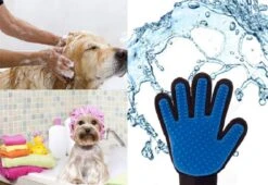Vacht Verzorgingsborstel Voor Huisdieren - Blauw - LimitedDeals - Voor Honden Katten Konijnen Paarden - Tevens Massage Handschoen Voor Dieren! - Goed Voor De Verzorging Van De Vacht -Huisdier Benodigdheden 1200x825