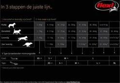 Flexi Giant Tape - Hondenriem - Zwart - M - 8 M - (<8 Kg) -Huisdier Benodigdheden 1200x828