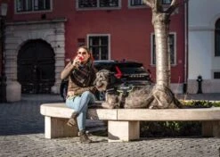 Julius K9 Julius-K9 IDC®Powertuig, 2XL - Maat 3, Zwart -Huisdier Benodigdheden 1200x856