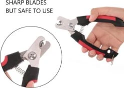 Nagelschaar Voor Dieren- Nagelknipper- Kat- Hond- Vogel Nagelschaartje - Huisdieren - Nail Clipper- Nail Cutter -Huisdier Benodigdheden 1200x857