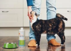 OxyFresh Pet Mondwater Hond En Kat. Helpt Tegen Tandsteen, Plak En Vieze Ademgeurtjes -Huisdier Benodigdheden 1200x864 3
