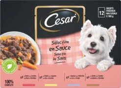Cesar Selectie In Saus Maaltijdzakjes Honden Natvoer - Vlees En Groenten In Saus - 48 X 100 Gr -Huisdier Benodigdheden 1200x875