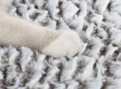 Merkloos Zelfverwarmende Dierendeken Zonder Stroom Thermo Deken Hond Kat Inclusief Adreslabel 70 X 47 Cm -Huisdier Benodigdheden 1200x878 2