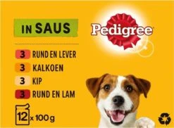 Pedigree Adult Honden Natvoer - Vlees & Gevogelte In Saus - 48 X 100g -Huisdier Benodigdheden 1200x884 1