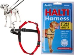 Company Of Animals Halti Harnass Hondentuigje - Anti Trektuigje - M - 60 Tot 80 Cm – Zwart -Huisdier Benodigdheden 1200x889