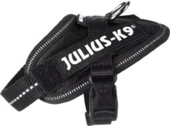Julius K9 Julius-K9 IDC®Powertuig, 3XS - Baby1, Zwart 20 Julius K9 Julius-K9 IDC®Powertuig, 3XS - Baby1, Zwart -Huisdier Benodigdheden 1200x890 1