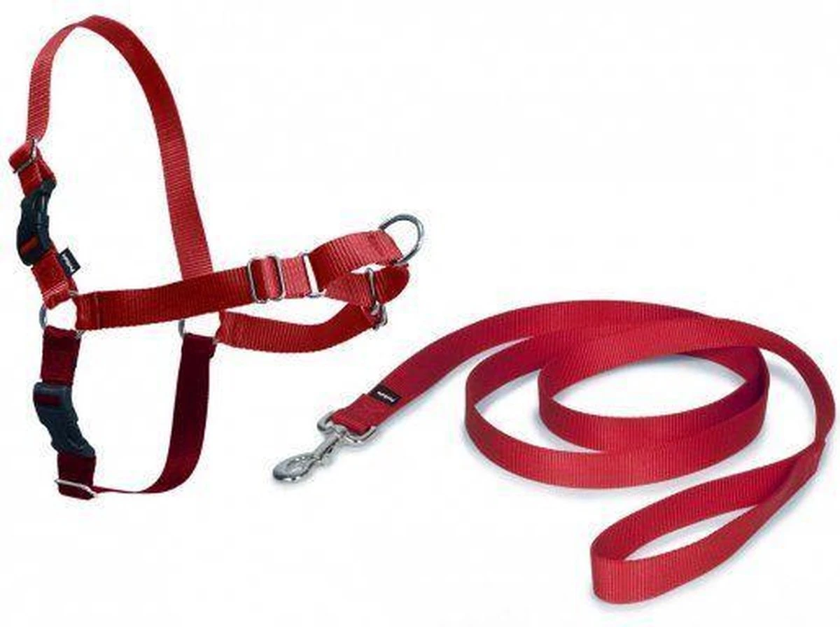 PetSafe Easy Walk® - Hondentuigje - Zwart - M - 51-71 Cm 4 PetSafe Easy Walk® - Hondentuigje - Zwart - M - 51-71 Cm - Afbeelding 3
