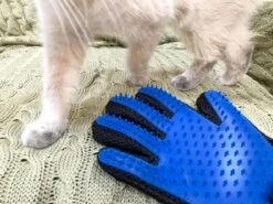 Vacht Verzorgingsborstel Voor Huisdieren - Blauw - LimitedDeals - Voor Honden Katten Konijnen Paarden - Tevens Massage Handschoen Voor Dieren! - Goed Voor De Verzorging Van De Vacht -Huisdier Benodigdheden 1200x897