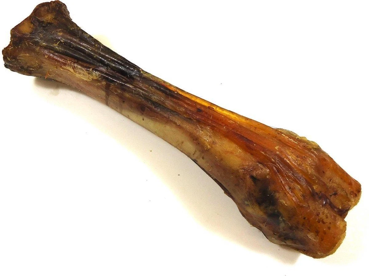 Runderbot XL 5 Stuks - Gedroogde Kauwbotten - Hondenbotten Hondensnacks Van De Snackmeester 100% Natuurlijk Natural Naturel 3 Runderbot XL 5 Stuks - Gedroogde Kauwbotten - Hondenbotten Hondensnacks Van De Snackmeester 100% Natuurlijk Natural Naturel